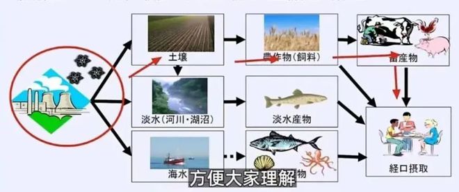 日本排放核污水处理_日本排放核污水囤积物资_日本核污水储存量