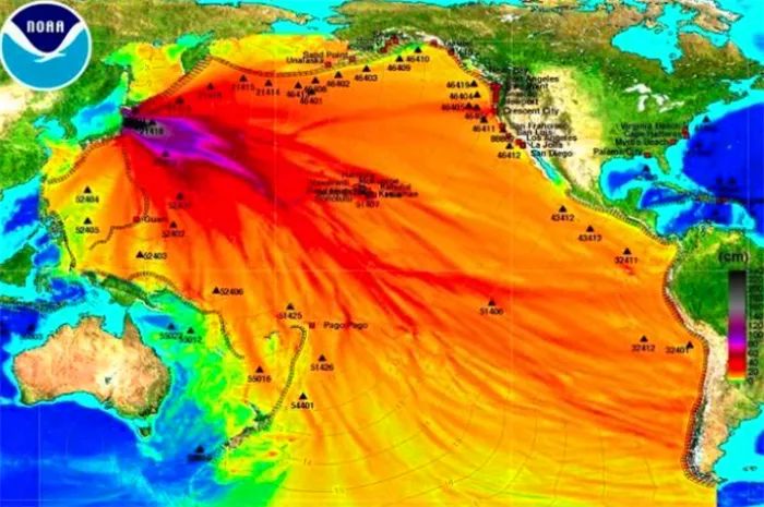 日本核海洋排放核废料_日本排核废料在大海_日本核废料倒入大海