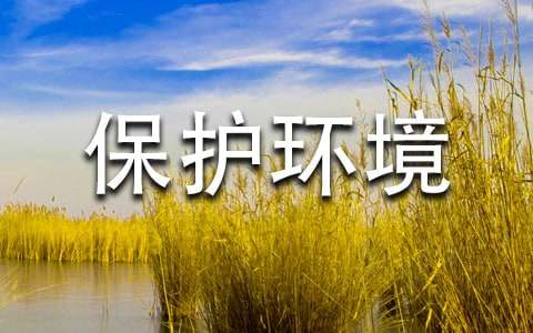 保护环境建议书作文600字7篇