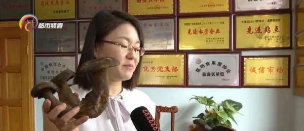 生长环境牛肝菌怎么处理_牛肝菌的生长环境_生长环境牛肝菌的作用